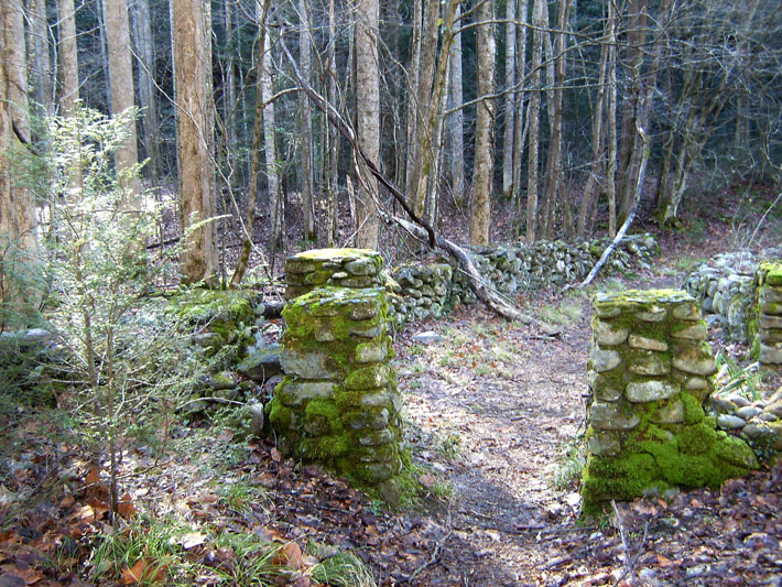 nature trail in Great Smokey Mountains National Park