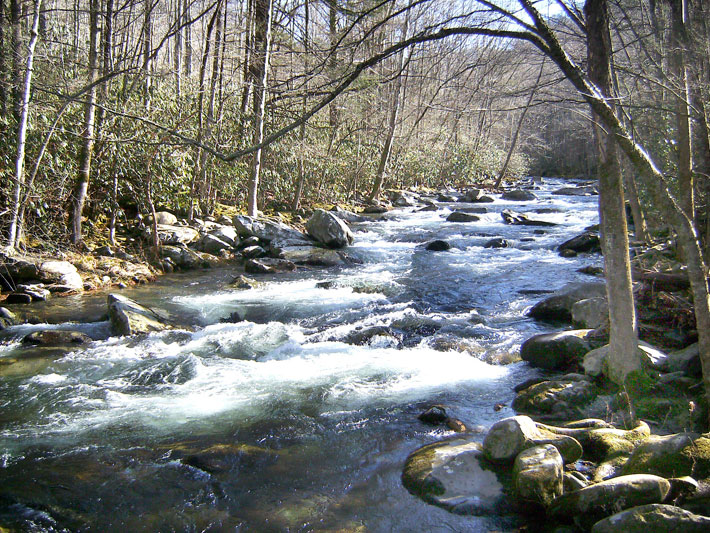 creek in Great Smokey Mountains National Park