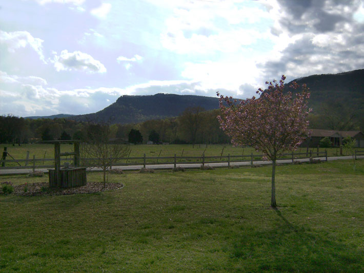 mountain view