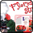 Florida Strawberry Festival